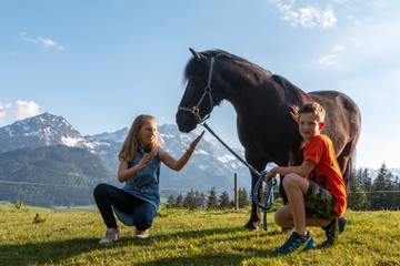 Bauernhof für 6 Personen in Abtenau, Dachstein West, Bild 2