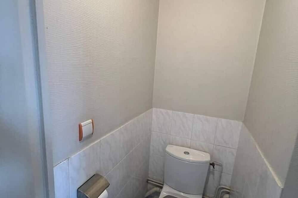 Entire apartment, Charming T1 near the thermal baths in Royat, Volcans d'Auvergne Regional Nature Park