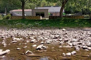 Cottage pour 10 personnes, avec jacuzzi ainsi que balcon et jardin à Comblain-au-Pont