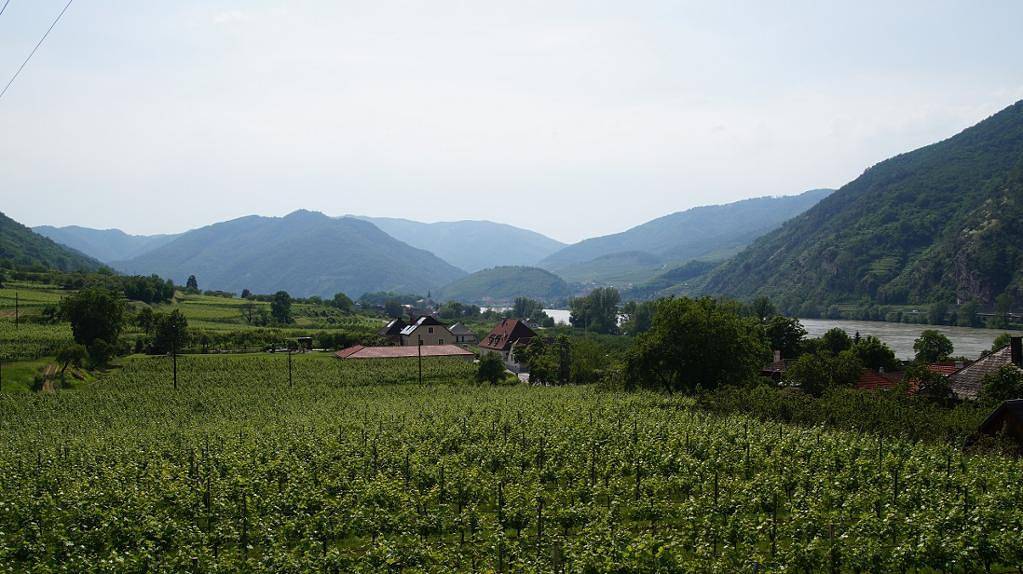 Appartement de vacances entier, Weinbau und Gästezimmer Pammer - Appartement (52qm) für 4 Personen mit Balkon in Rossatz-Arnsdorf, Danube Basse-Autriche
