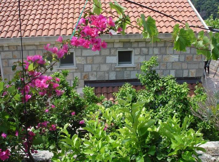 Apartament wakacyjny dla 3 osób, z Balkon w Mljet
