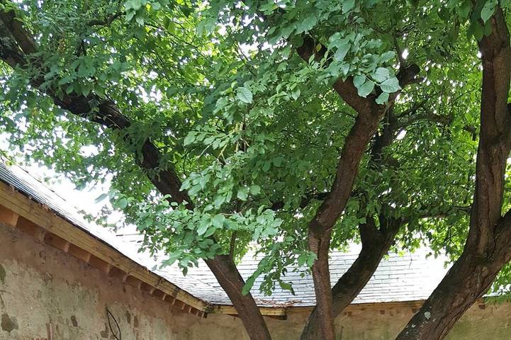 Gîte pour 6 personnes, avec terrasse et jardin à Cheffes