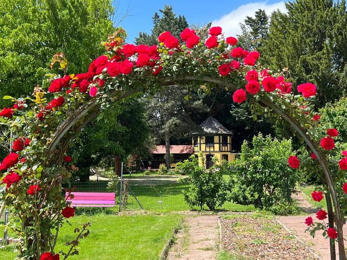 Location de vacances pour 2 personnes, avec jardin et jacuzzi dans Ostheim - 2