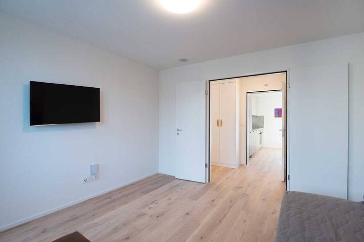 Ferienwohnung für 5 Personen, mit Balkon, mit Haustier in Zürich - 3