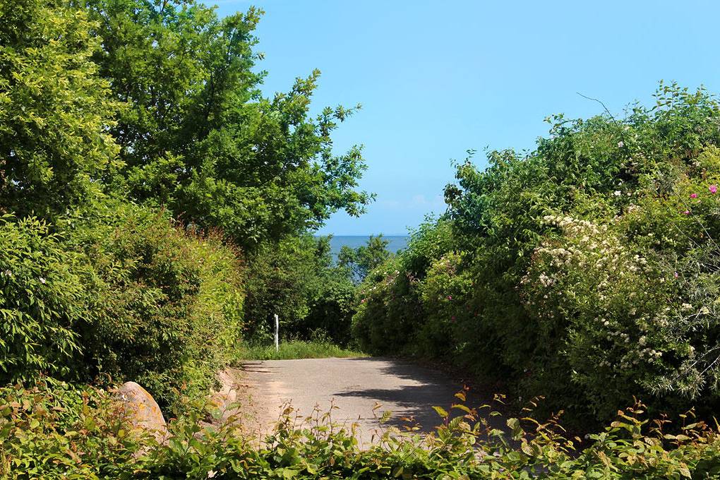 Ganze Ferienwohnung, Meerblick Wohnung 2 in Redewisch, Boltenhagen