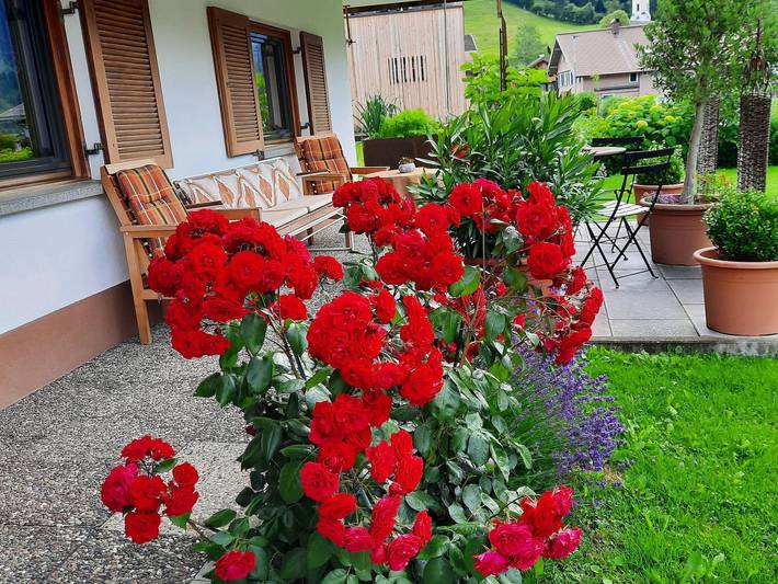 Ganze Ferienwohnung, Ritter Anna - Haus Panorama - Ferienwohnung in Bregenzerwald (Vorarlberg), Schoppernau