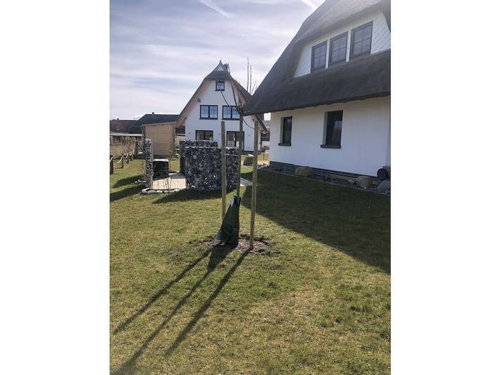 Ferienhaus für 4 Personen, mit Terrasse und Garten sowie Sauna in Dranske - 4
