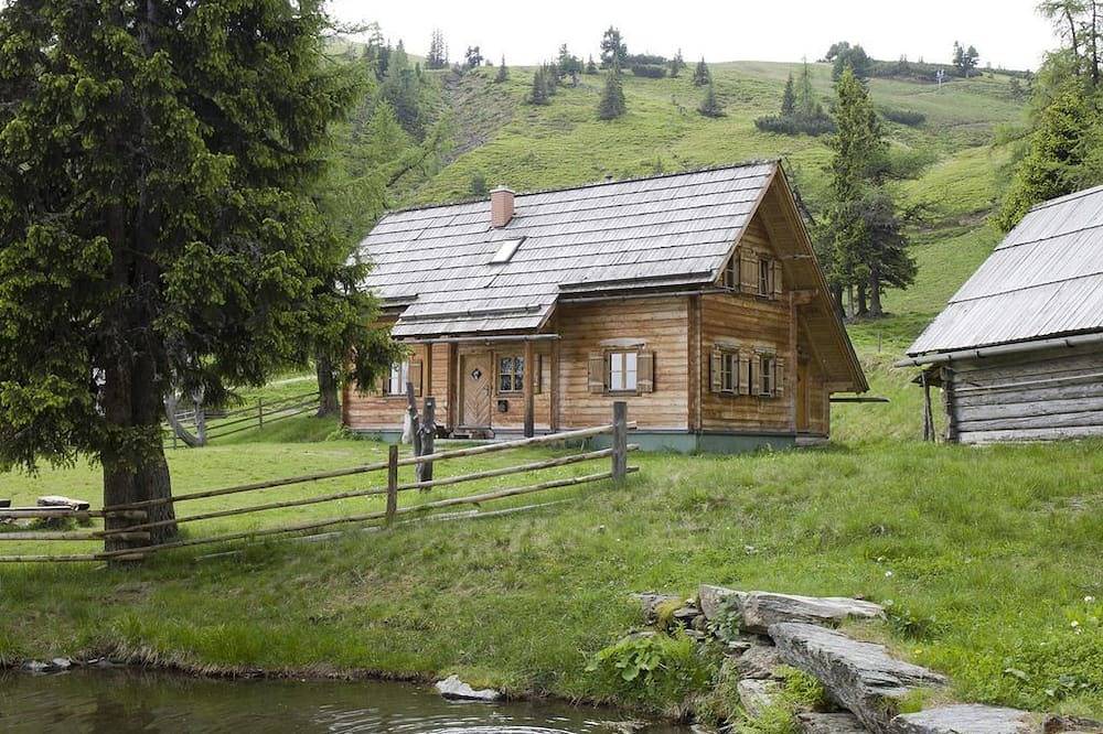 Galsterbergalmhütte - Jagdhütte - Ferienhaus "Jagdhütte" in Michaelerberg-Pruggern, Schladming-Dachstein