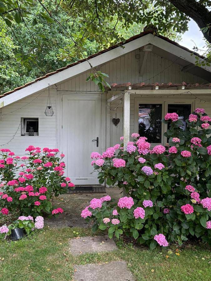 Chambre d’hôte pour 2 personnes, avec Terrasse ainsi que Jardin et Vue à Somain