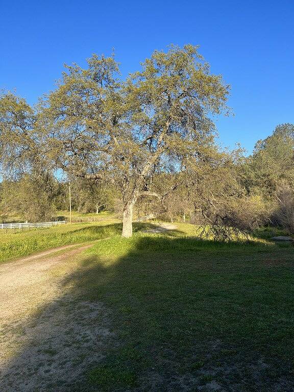 Camping for 10 Guests in Kings Canyon National Park, Fresno County