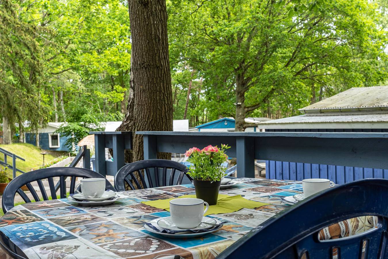 Bungalow 'Bungalow Bark Sedov, Bgl 3' mit Privatterrasse und Wlan in Bakenberg, Dranske