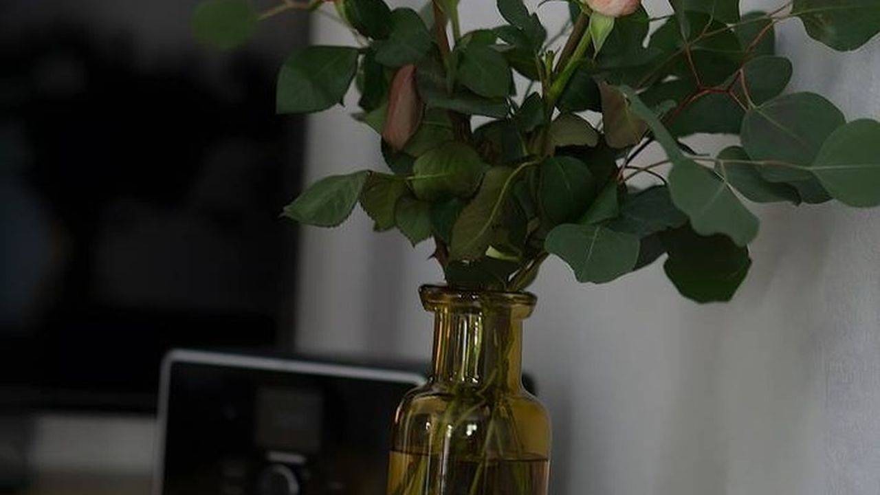 Ganze Ferienwohnung, Ferienwohnung für 2 Personen (58 m²) in Schneizlreuth in Weissbach an der Alpenstrasse, Schneizlreuth