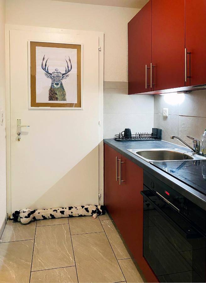 Gîte pour 3 personnes, avec terrasse à Vionnaz - 4