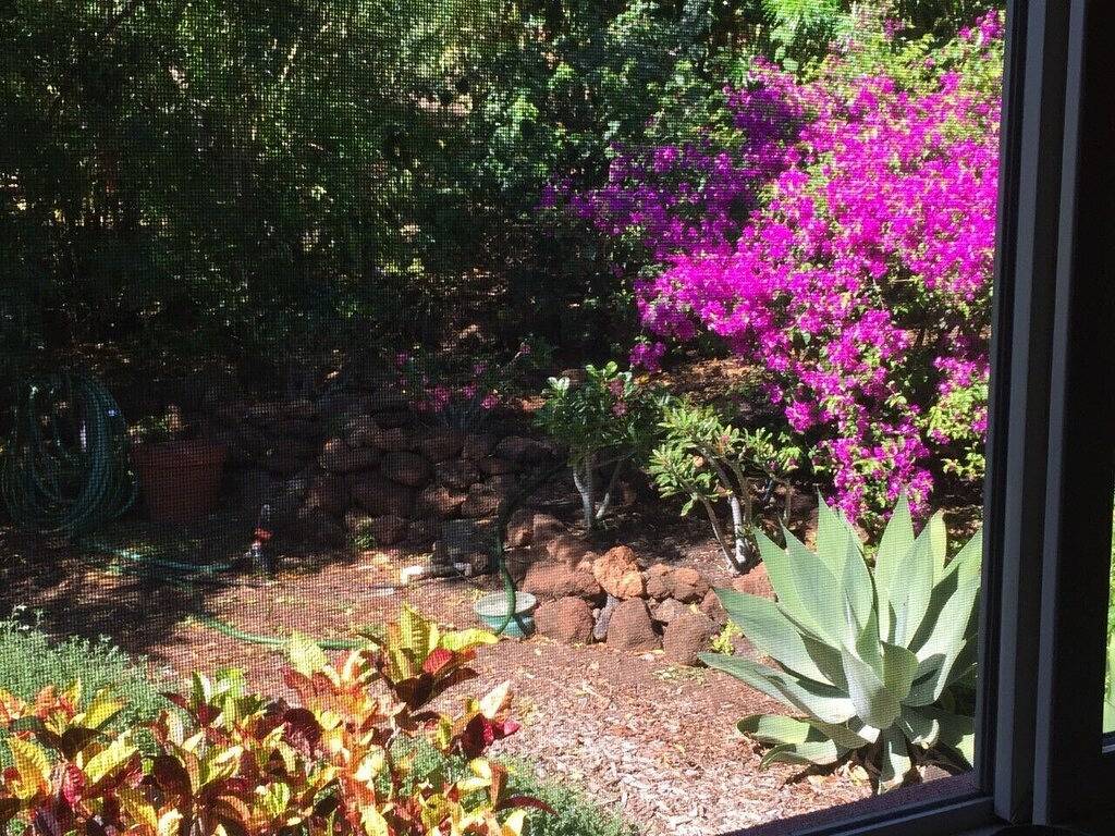 Expansive Ocean View - In der Nähe der besten Strände Friedlich! in Kohala