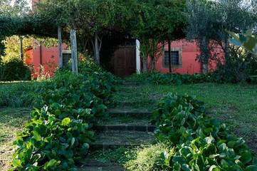 Agriturismo per 12 Persone in Bracciano, Lago di Bracciano, Foto 4