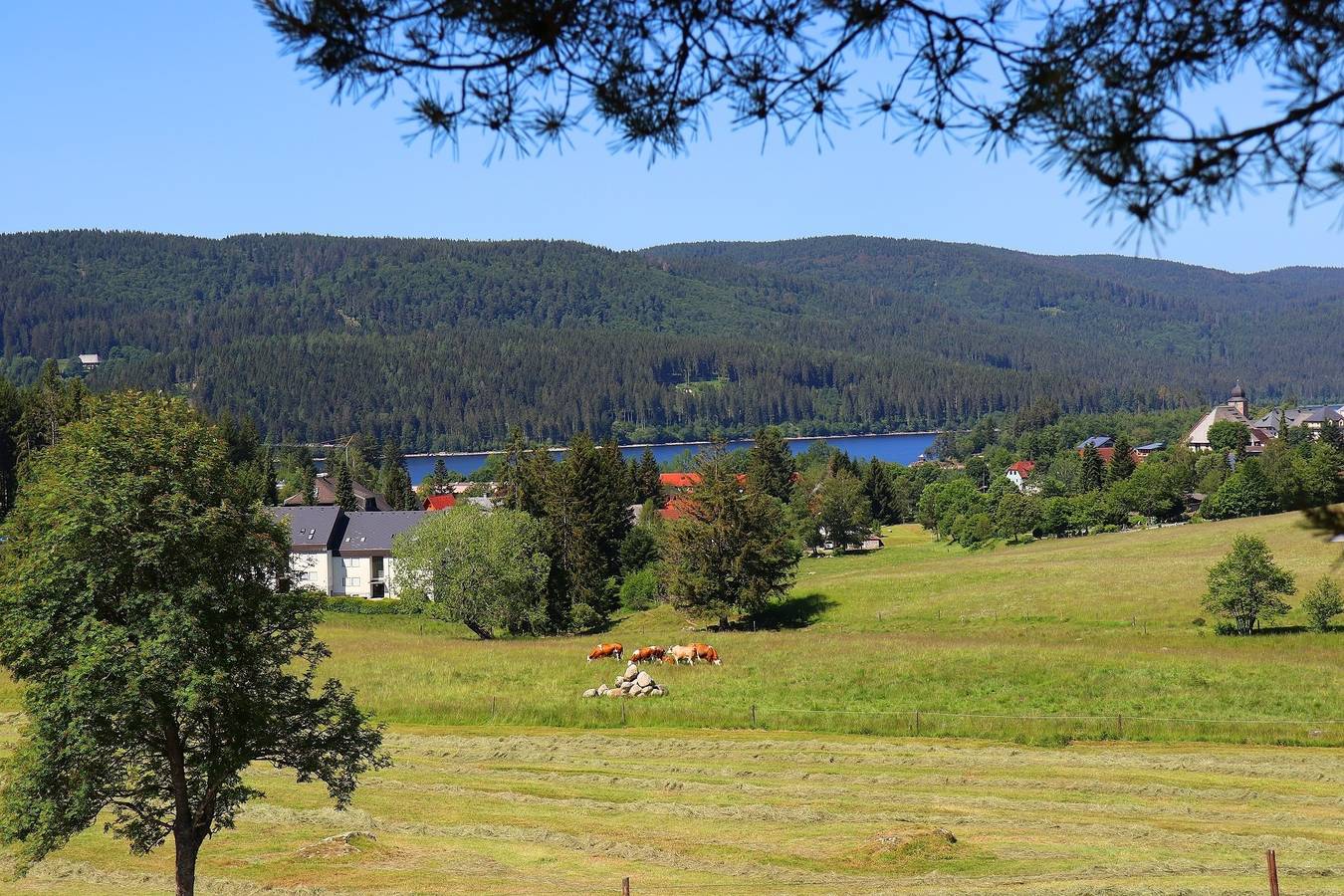 Appartement de vacances entier, Ferienwohnung Tanja - Auszeit Schluchsee - Oase der Stille - in Suedlicher Schwarzwald, Schluchsee