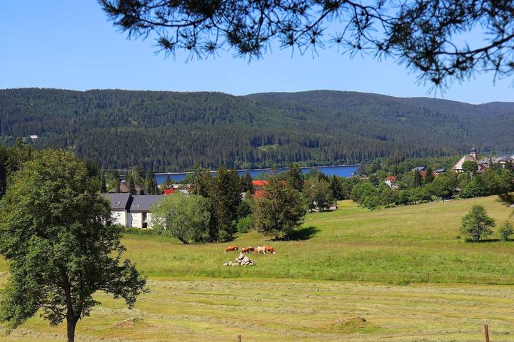Ferienwohnung für 3 Personen, mit Balkon in Schluchsee - 3