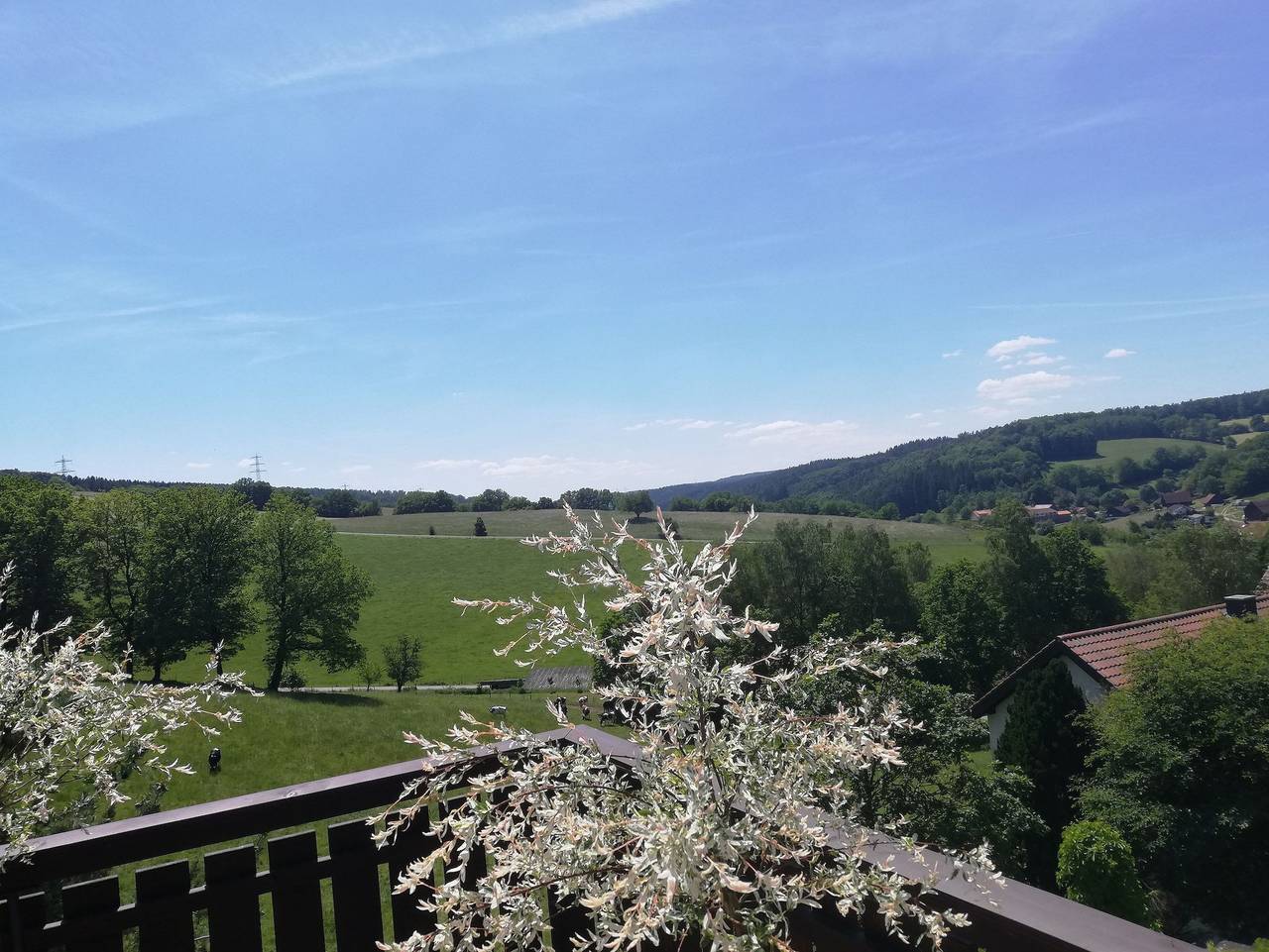 Ganze Ferienwohnung, Ferienwohnung Traumblick - Ferienwohnung Traumblick in Beerfelden, Odenwaldkreis