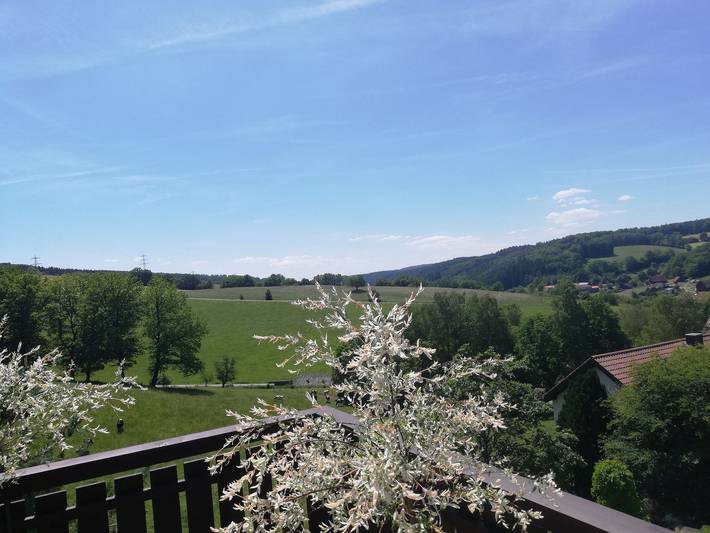 Bauernhof für 4 Personen, mit Balkon und Ausblick, kinderfreundlich im Odenwald