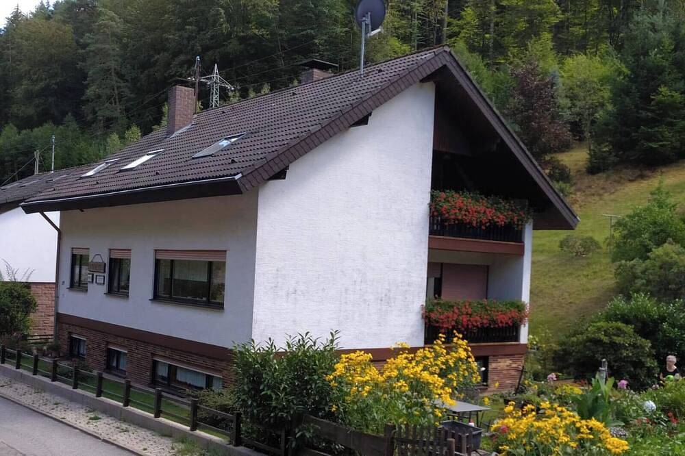 Ganze Wohnung, Ferienwohnung im Herzen des Pfälzer Wald in Elmstein, Saar-Nahe-Bergland