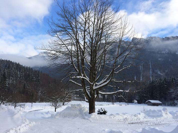 Ganze Ferienwohnung, Alpaka-Hof Landinger - Zellerhorn Ferienwohnung 39 qm, ein Schlafzimmer und Wohnzimmer in Kampenwand, Aschau im Chiemgau