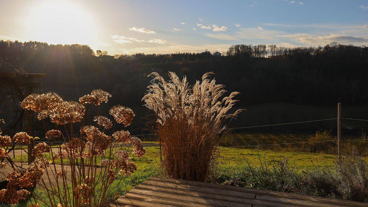 Ferienhaus für 5 Personen (80 m²) in Feldbach in Südoststeiermark, Feldbach
