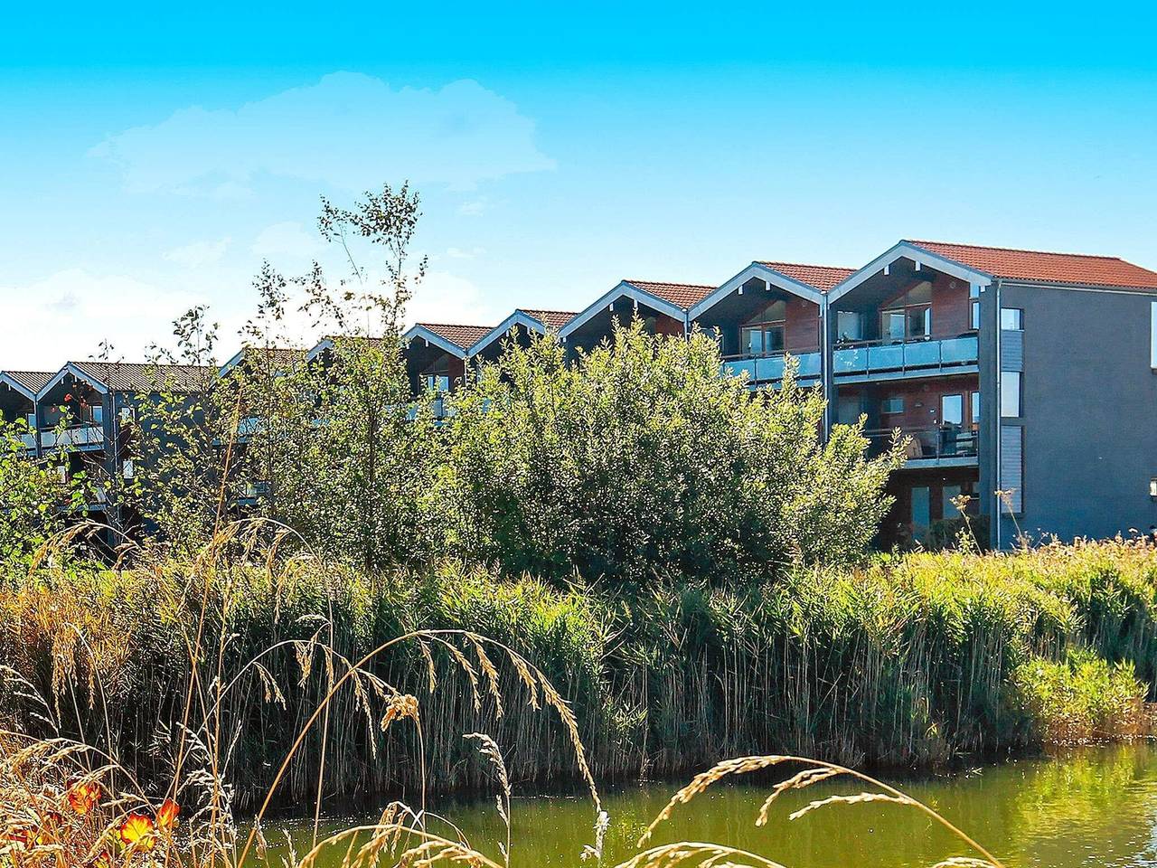 Ganze Wohnung, 4 Personen Ferienhaus in Bogense in Bogense, Kleiner Belt