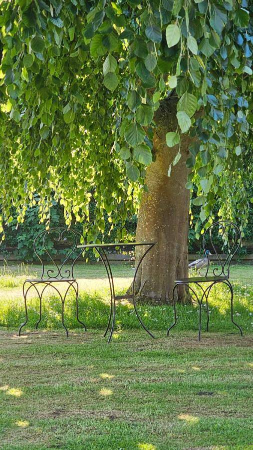 Ferienwohnung für 5 Personen, mit Garten und Ausblick, mit Haustier in Strukkamp - 3