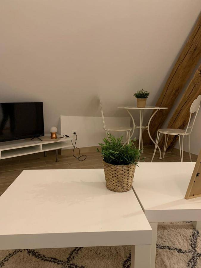 Gîte pour 2 personnes, avec vue à Léré - 3