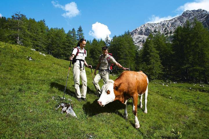 Ferienhaus für 8 Personen, mit Terrasse im Salzburger Land - 3