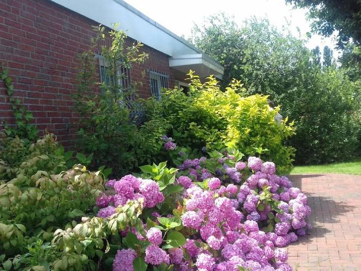 Ferienwohnung für 5 Personen, mit Terrasse und Garten in Dornumergrode - 2