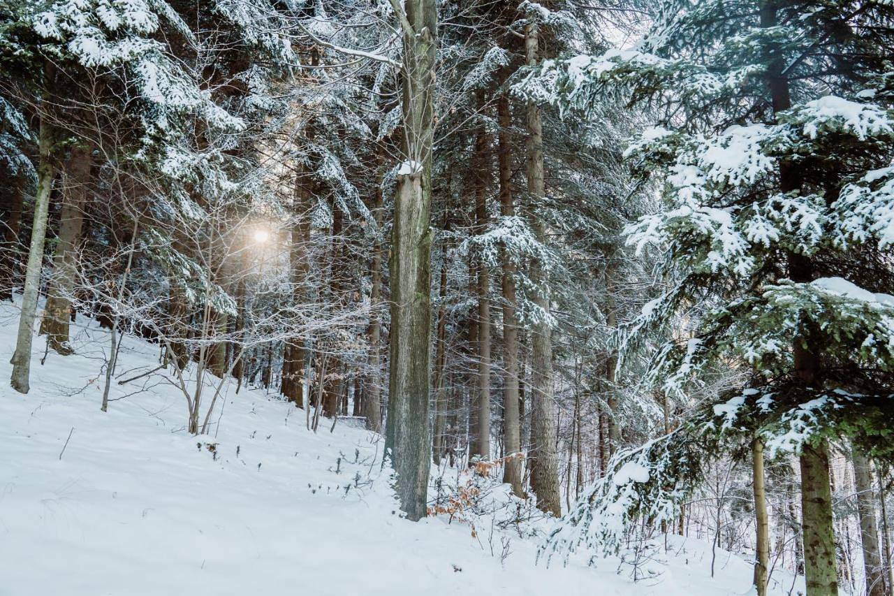 Ostoja in Rzyki, Małopolska