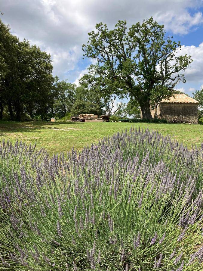 Location de vacances pour 4 personnes, avec piscine et balcon ainsi que jardin et vue à Vernègues - 2