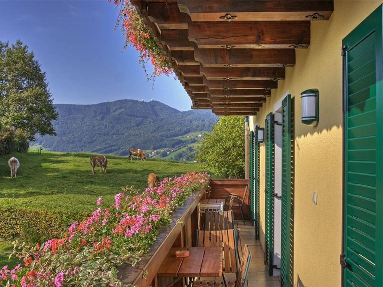 Ganze Ferienwohnung, Pension Winter Am Irrsee - Ferienwohnung Guten Morgen Sonne 2. Stock in Salzkammergut-Berge, Mondsee & Irrsee