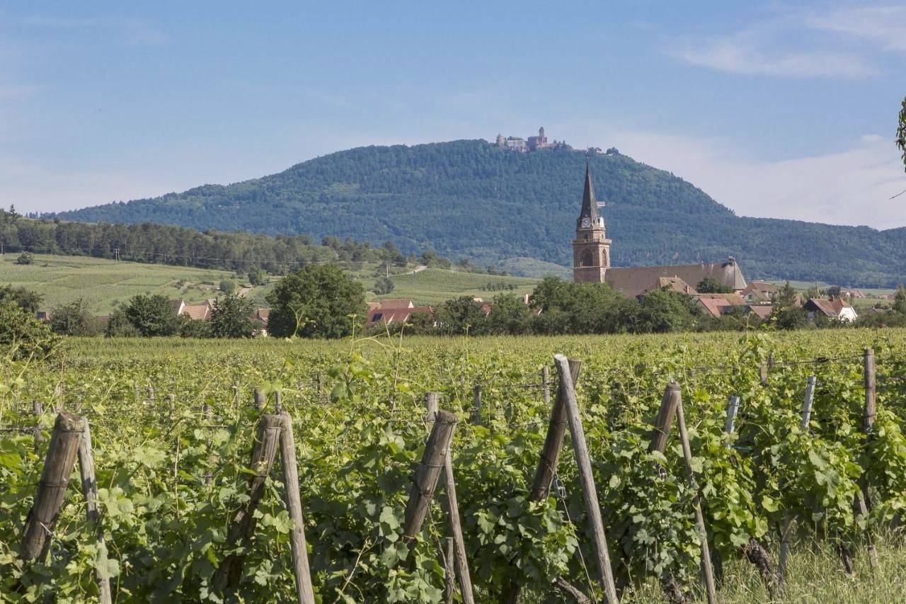 Résidence Odalys Le Domaine des Rois in Bergheim, Parc naturel régional des Ballons des Vosges