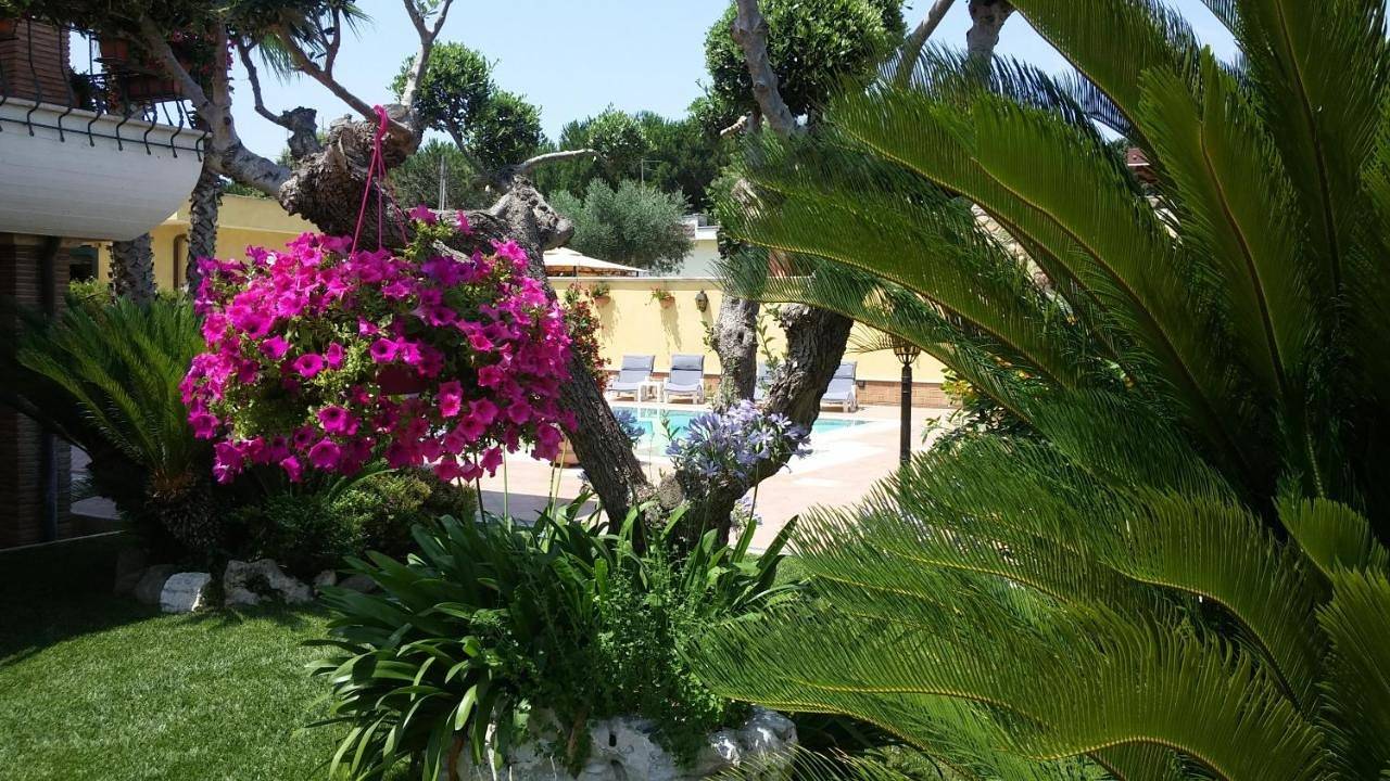 Superior Double Room in Anzio, Provincia di Roma