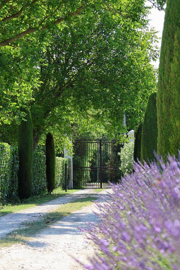 Domaine du Moulin de Villefranche in Pernes-les-Fontaines, Vaucluse