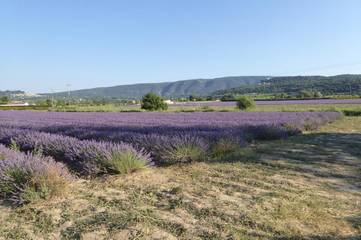 Location de vacances pour 2 personnes, avec vue ainsi que piscine et jardin à Robion