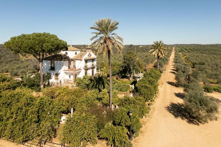 Chalet para 20 personas, con jardín en Sierra Norte de Sevilla - 2