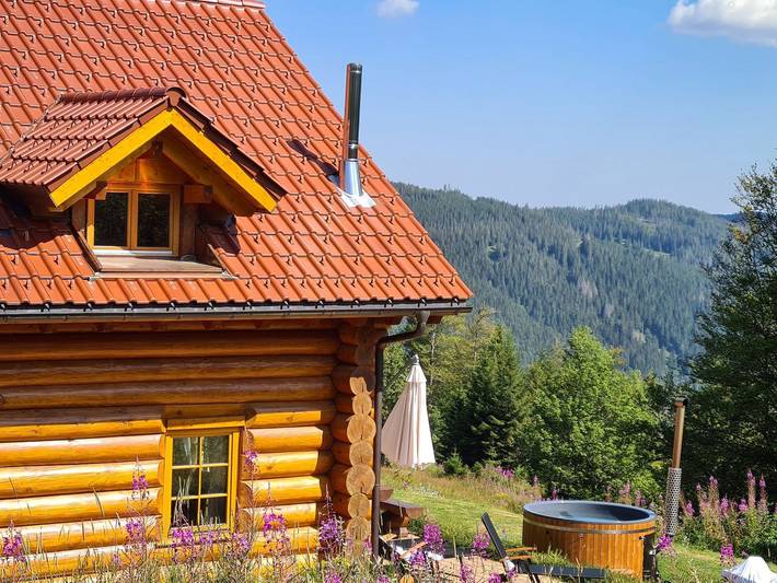 Ferienhaus für 14 Personen, mit Garten und Terrasse sowie Sauna in Suedlicher Schwarzwald - 4