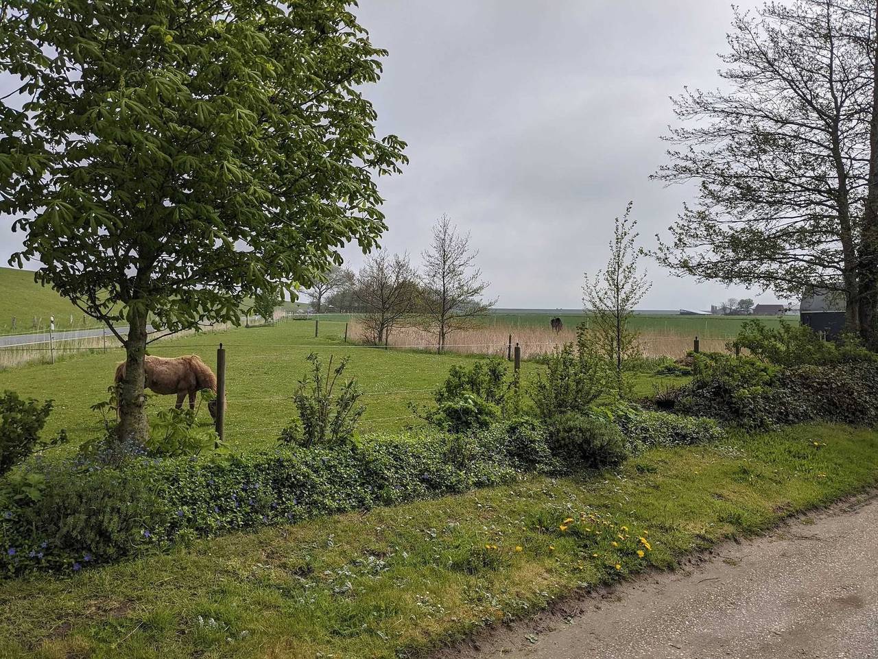 Ganze Ferienwohnung, Ferienwohnung direkt am Nordseedeich in Friedrichskoog, Friedrichskoog Region