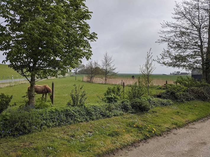 Ganze Ferienwohnung, Ferienwohnung direkt am Nordseedeich - Fewo direkt am Nordseedeich in Friedrichskoog, Kreis Dithmarschen