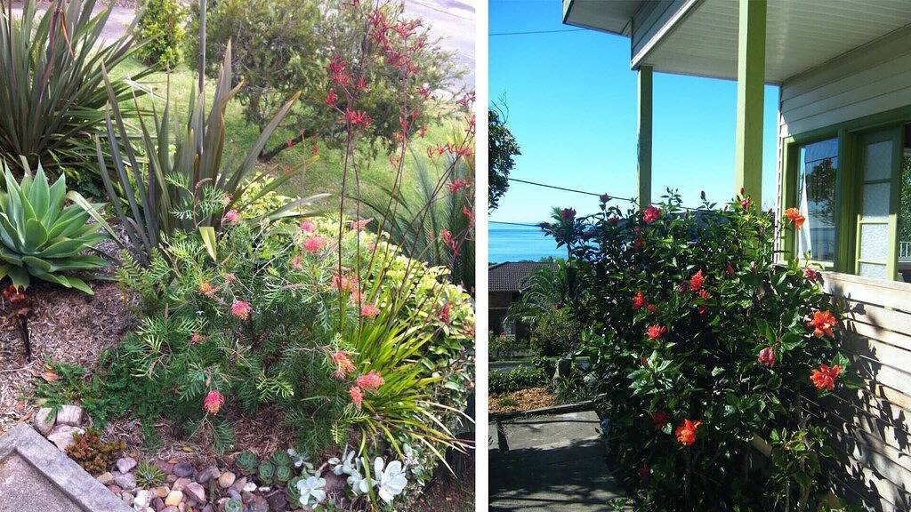 Retro- Strandhaus, das Ozean übersieht in Pambula Beach, New South Wales