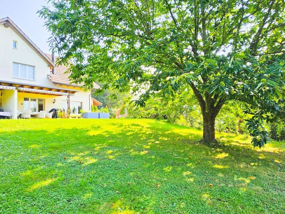 Exklusives 5 Zimmer Haus an bester Lage nähe Baden Zürich in Kirchdorf AG, Obersiggenthal
