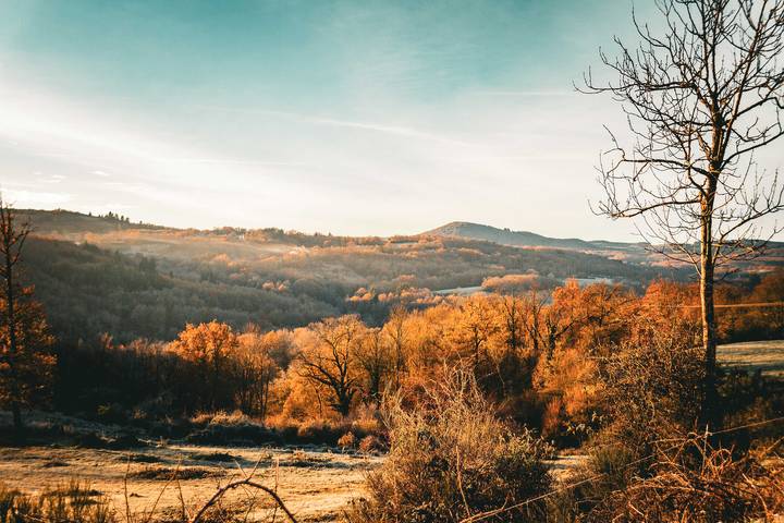 Location de vacances pour 2 personnes, avec jardin à Charbonnières-les-Vieilles - 4