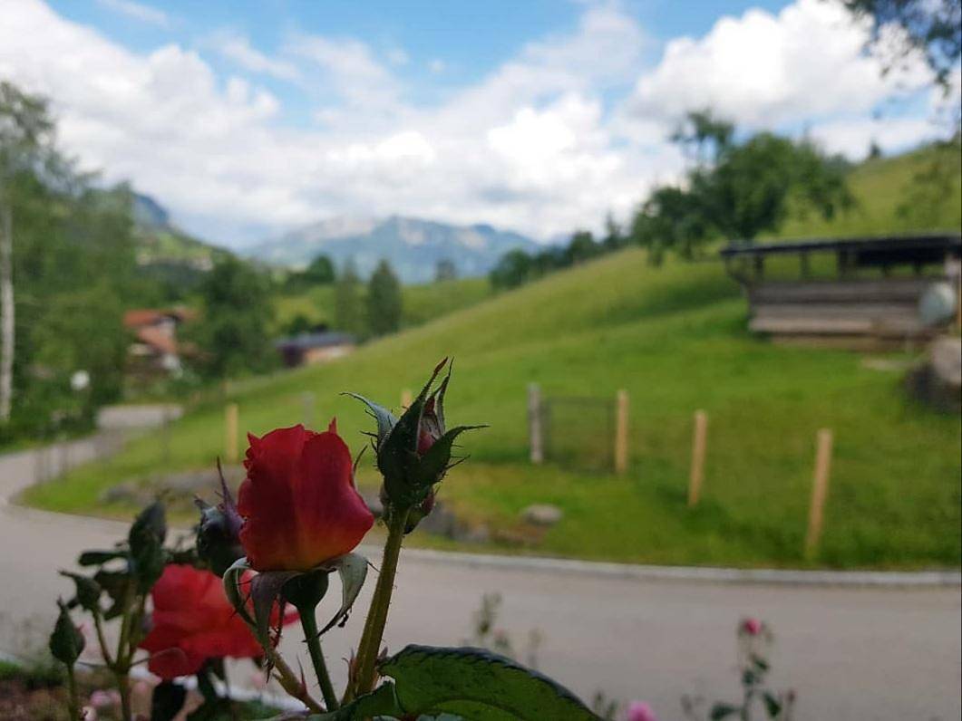 Domizil im Allgäu in Sonthofen, Bayerisch Schwaben