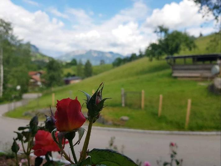 Ferienhaus für 10 Personen, mit Balkon und Terrasse sowie Garten in Sonthofen