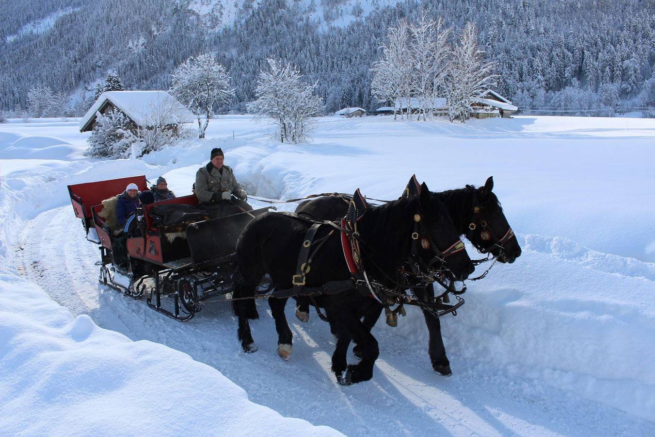 Ganze Ferienwohnung, Appartement Reifhorn, Dusche, Wc, 2 Schlafräume in Sankt Martin bei Lofer, Pinzgau