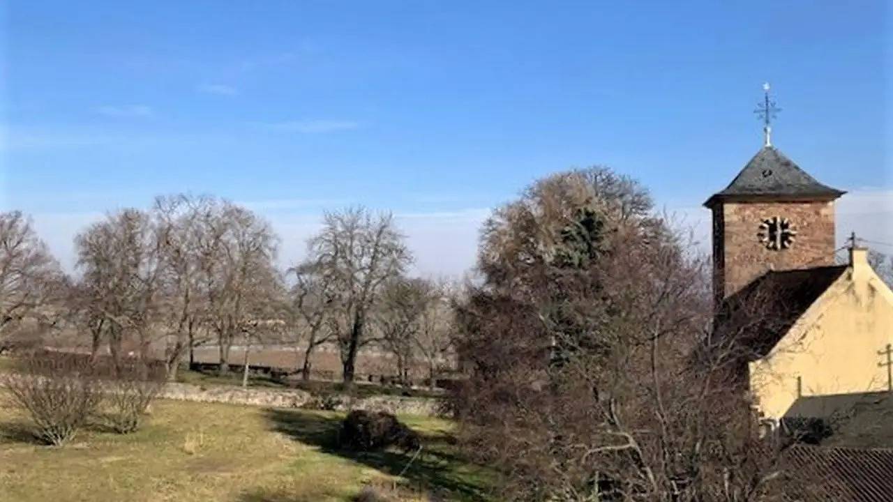 Ganze Ferienwohnung, Ferienwohnung für 2 Personen (48 m²) in Herxheim Am Berg in Herxheim am Berg, Pfälzer Rheinebene