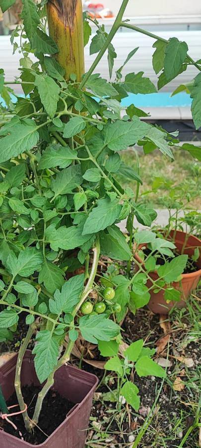 Gîte pour 3 personnes à Eyrans